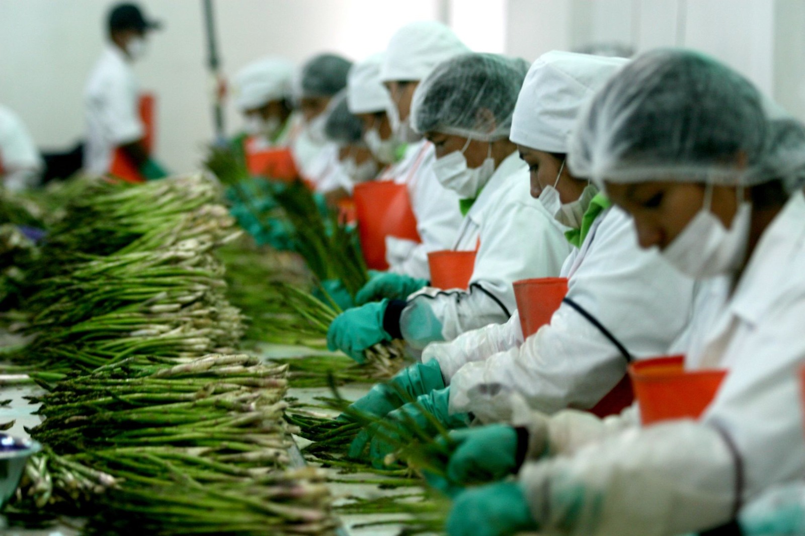 Agroexportaciones peruanas crecen 8.7% en primer trimestre