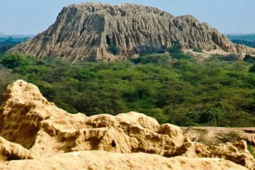 Lambayeque: piden mejorar sistema de protección del Santuario Histórico Bosque de Pómac